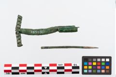 Foto von Bronzecertosafibel (NHMW-PRAE-035747)
